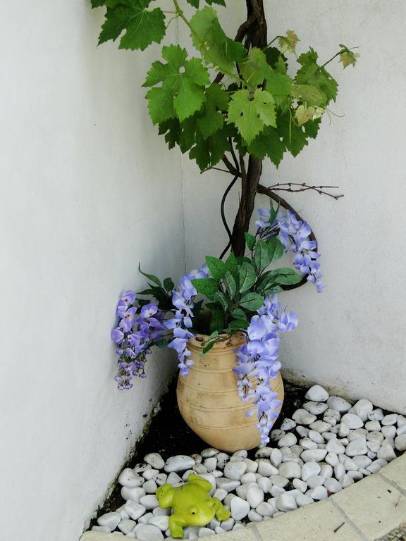 La Petite Maison Sur L'Ile De Re La Flotte Εξωτερικό φωτογραφία