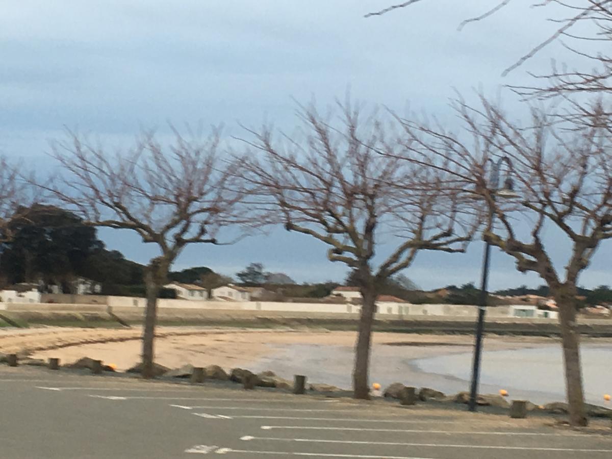 La Petite Maison Sur L'Ile De Re La Flotte Εξωτερικό φωτογραφία